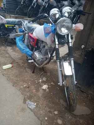 Qlink Pegasus 150 Motorcycle